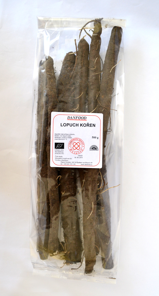 Lopuch kořen čerstvý